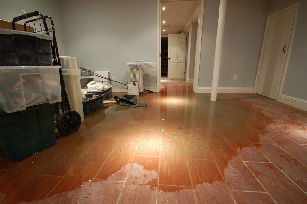 water damage, flood damage, mould growth, mould restoration