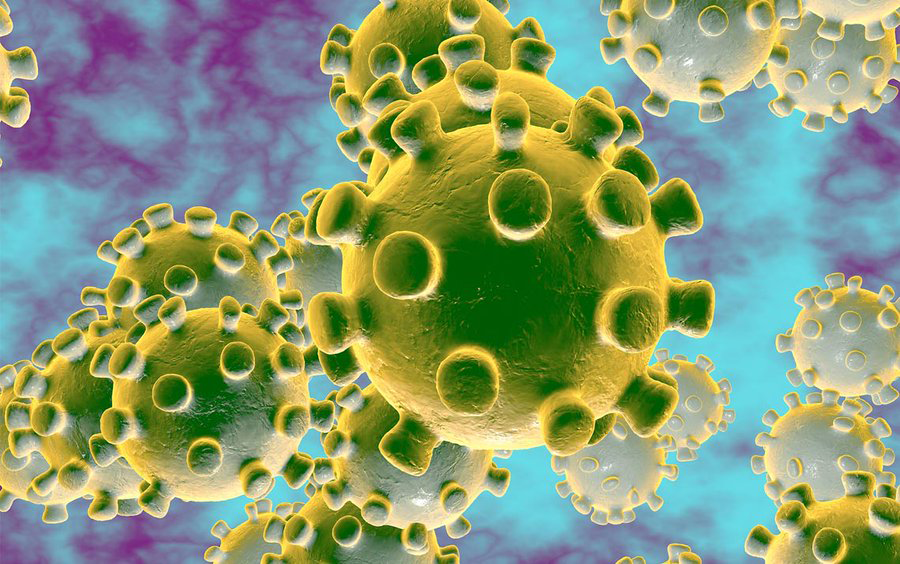 coronavirus, corona virus, covid-19, ncorona virus, novel coronavirus