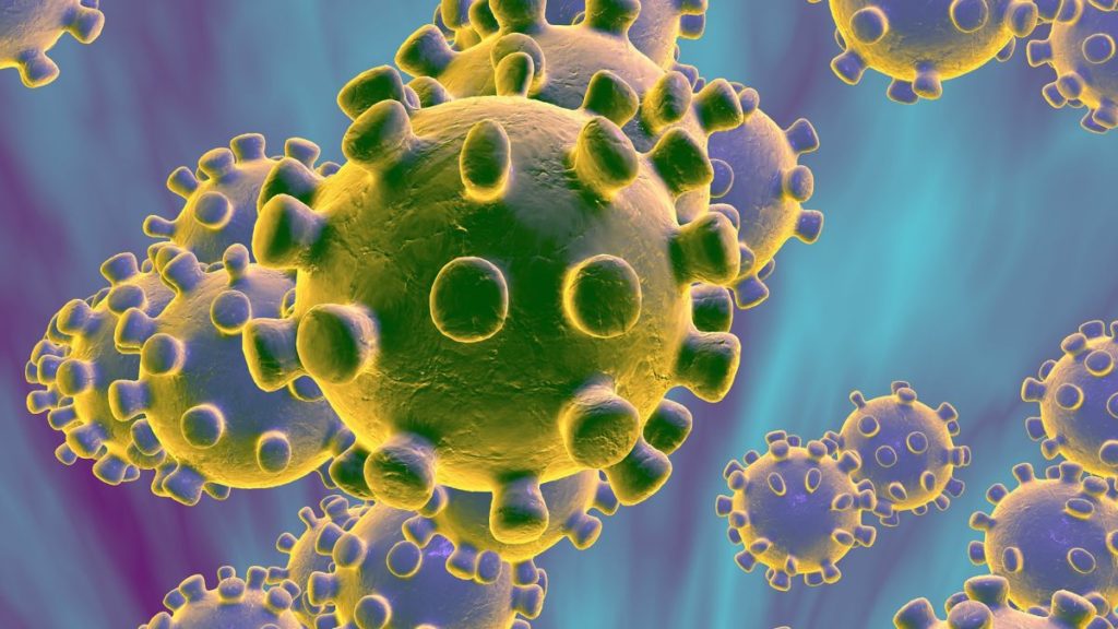 coronavirus, corona virus, covid-19, ncorona virus, novel coronavirus