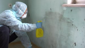 mold removal, mold remediation