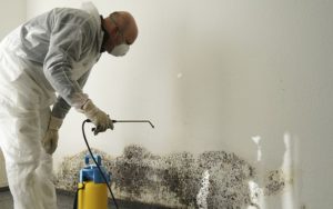 mold removal price, covid-19 covid 19 cleanup