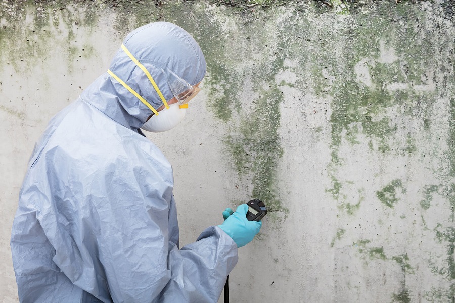 mold removal, covid-19 cleanup, mold remediation